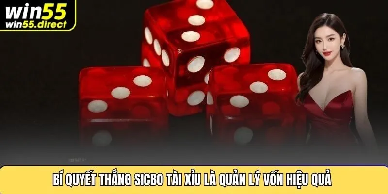 Bí quyết thắng sicbo tài xỉu là quản lý vốn hiệu quả